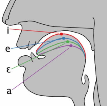diagram of mouth with vowel sounds