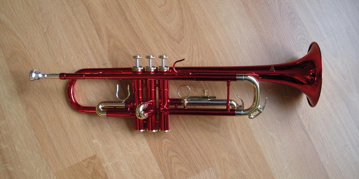 Red Trumpet On Wood Floor