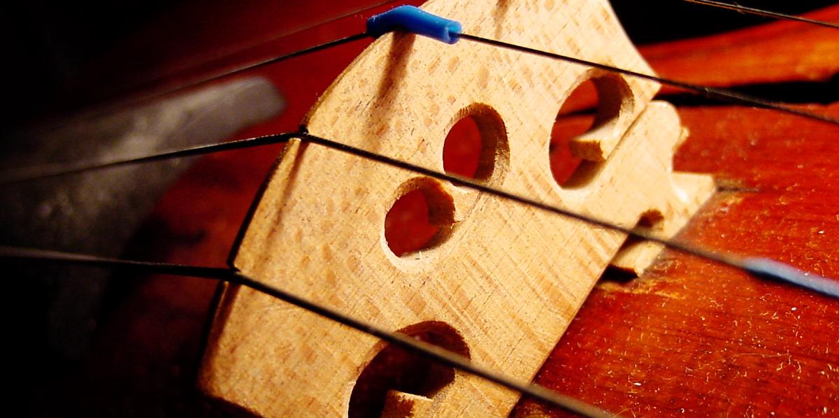 violin bridge with strings
