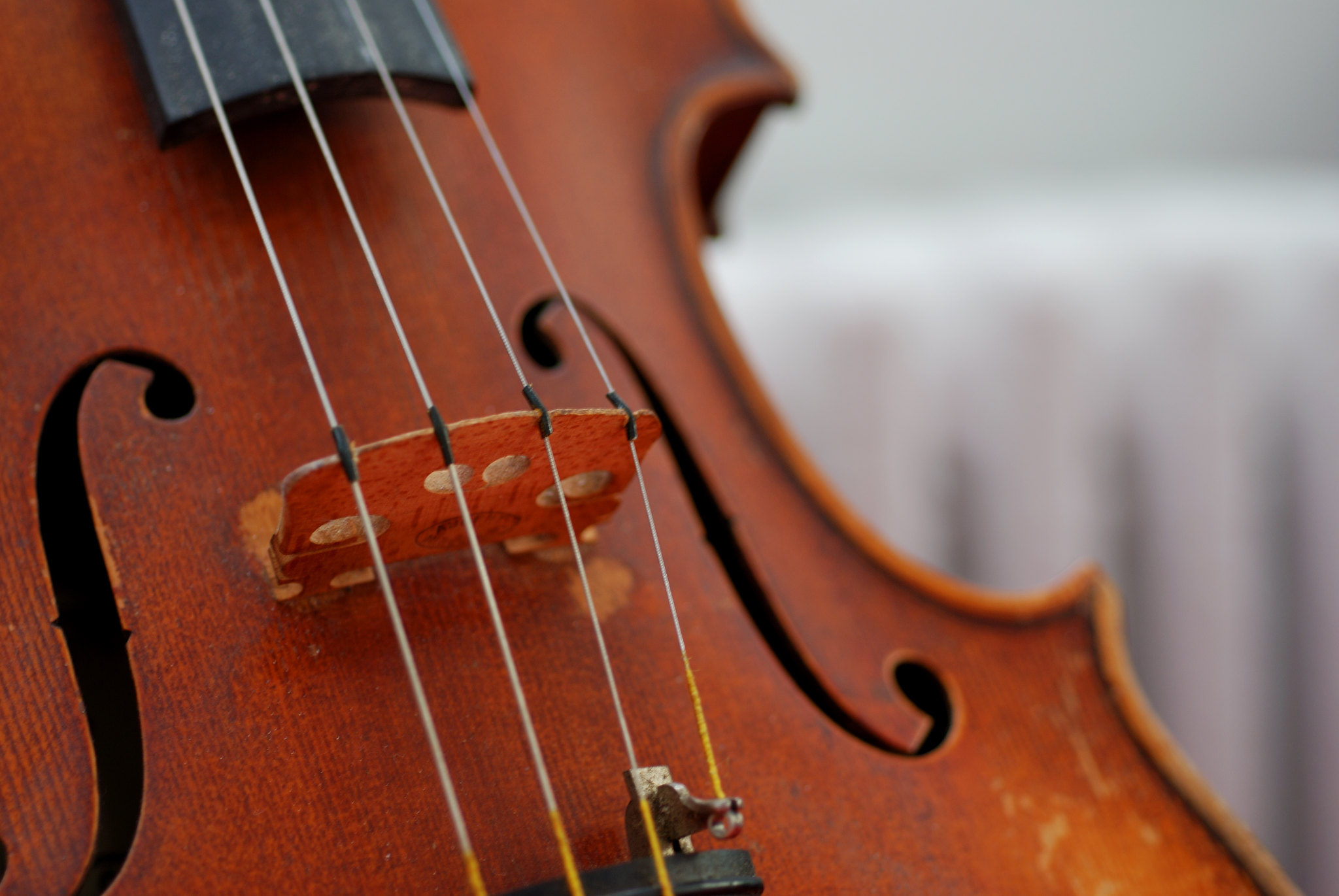 Hvilken en falme Stor eg The Best Violin Strings | Notestem