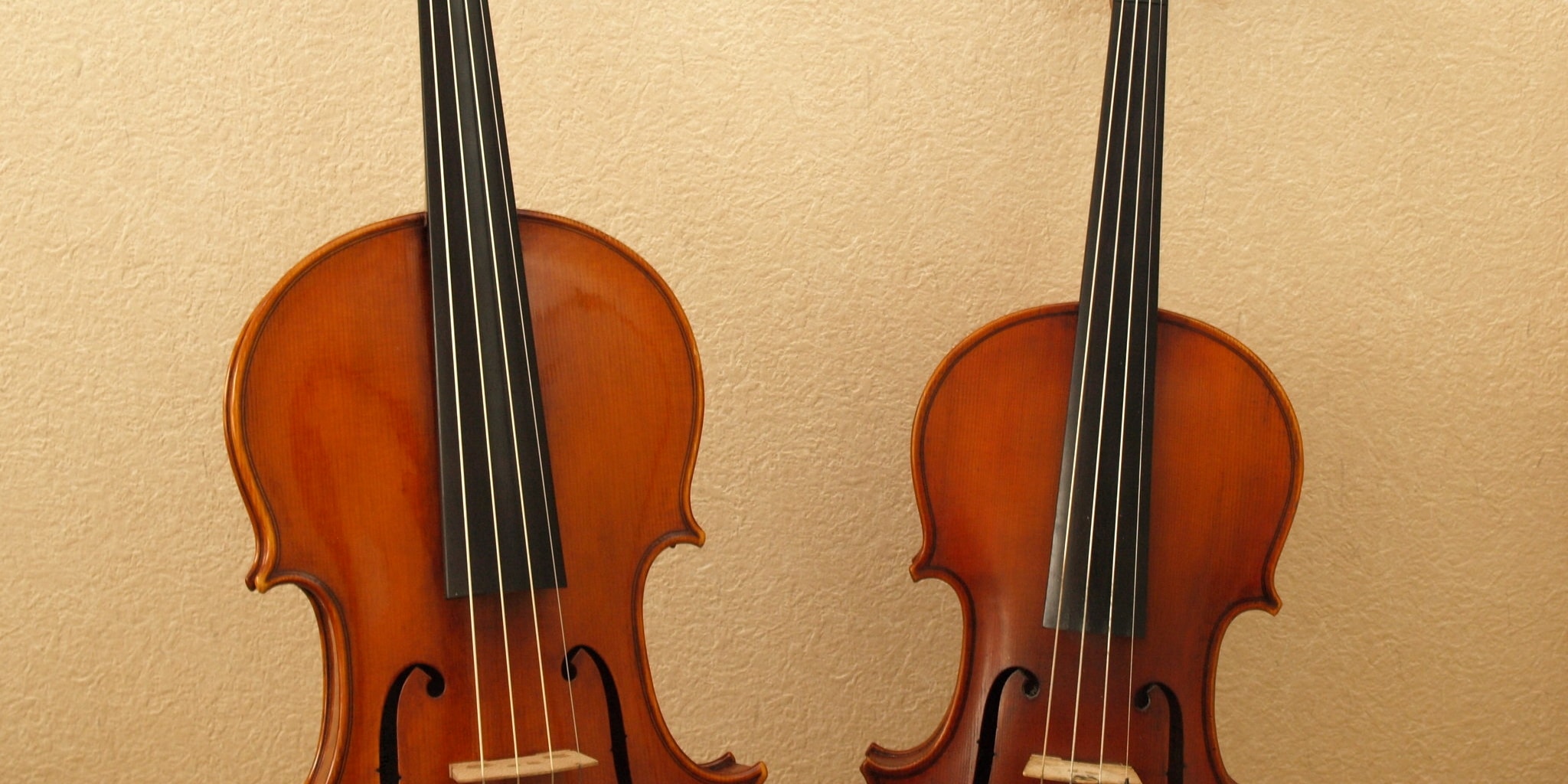 opladning zebra mørke Violin Vs. Viola | Notestem